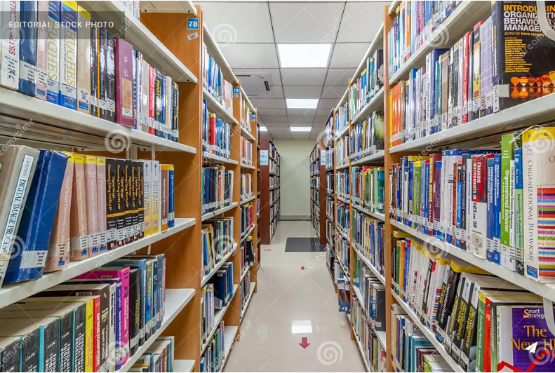 Django Local Library